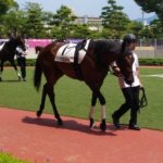 一口馬主として愛馬のデビュー戦を全力で応援してきた【競馬】