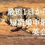 東京で英会話を最短1日から学べる超短期集中講座8選【2023年】