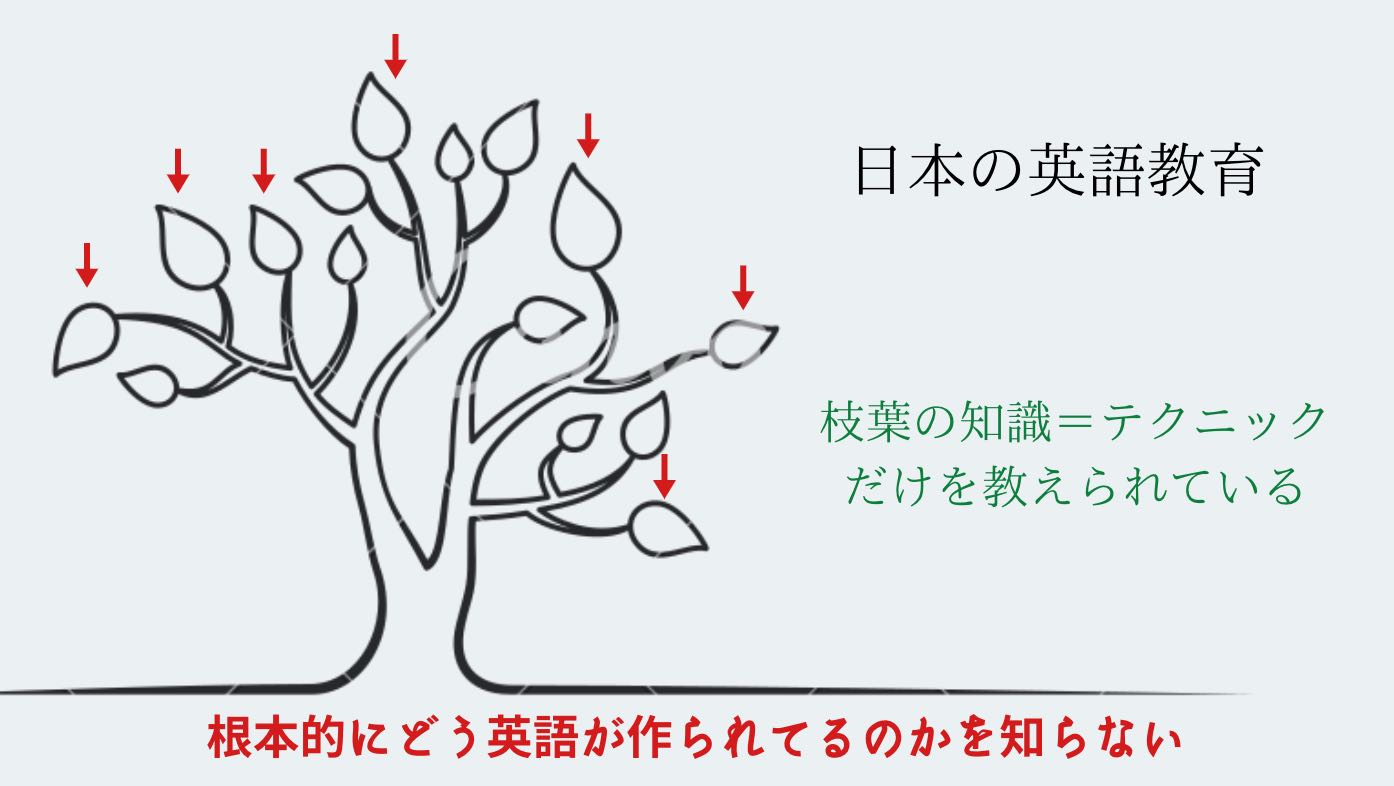 社会人向け英文法学び直しにおすすめな英語塾 スクール6選 東京 Stay Minimal